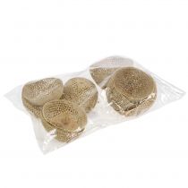 položky Sušené ovocie Bell Cup Prírodná smútočná dekorácia 8,5-11cm 10 ks