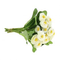 položky Bellis golier biely 22cm 4ks