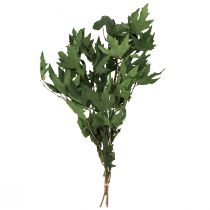 položky Listy platanu ozdobné javorové listy zelené 50-60cm 100g