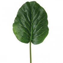 položky Umelá zelená rastlina Bergénia zelená umelá rastlina 53cm