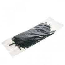 položky Paprade dekoratívna papraď konzervovaná papraď listy zelené 45cm 20 ks