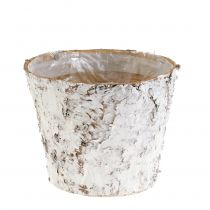 položky Črepník s bielou brezovou kôrou črepník Ø15cm V12,5cm 3 ks