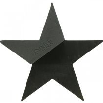 položky OASIS® Black Bioline® Floral Foam Star Black H30cm 2ks