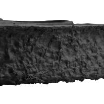 položky Dekorácia do misky Oasis Black Biolit Plant Heart 50 cm, čierna