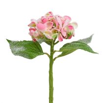 položky Hortenzia ružová zasnežená 33cm 4ks