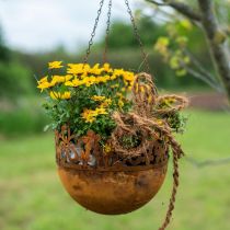 položky Závesný košík kovová dekorácia hrdza závesná dekorácia Ø20cm V16cm