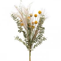 položky Umelé kvety Craspedia pierko tráva eukalyptus 55cm zväzok