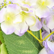 položky Umelý kvetinový veniec s viničovým vencom farebný V13cm Ø55cm