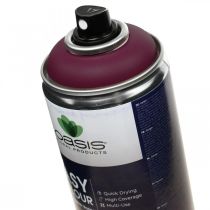položky OASIS® Easy Color Spray, sprej na farbu Erika 400 ml