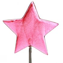 položky Kvetinové tyčinky Hviezdy Dekorácia Berry Ø7cm – 2. výber – 24 ks