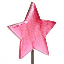 položky Kvetinové tyčinky Hviezdy Dekorácia Berry Ø7cm – 2. výber – 24 ks