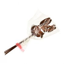 položky Kvetinová zátka hrdza králik dekorácia 7,5cm×11,5cm 6 ks