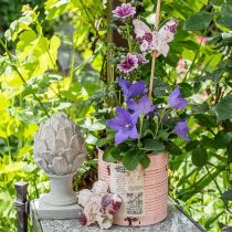 položky Dekoratívny kvetináč v plechovke lososový, kovový, letná dekorácia Ø11cm V10,5cm