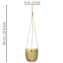 položky Sklenený kvetináč/závesný lampáš, fialový/zelený, 14 cm, 2 kusy