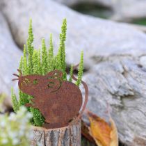 položky Drevený kvetináč s motívom kôry a myšiej hrdze, výška 24 cm
