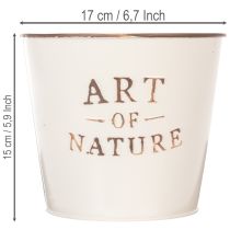 položky Zinkový kvetináč Art of Nature krémový Ø17,5 cm V15 cm