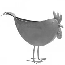 Kvetináč kura kovový vtáčik zinková kovová dekorácia 51×16×37cm
