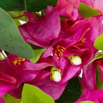 položky Umelý kvet bougainvilley na jarnú dekoráciu, 100 cm