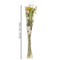 položky Kytica sušených kvetov, elegantná kytica sušených kvetov do obývačky, 50 cm