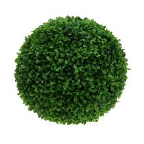 Buxusová guľa zelená Ø30cm