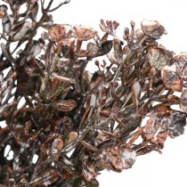 položky Umelé rastliny hnedá jesenná dekorácia zimná dekorácia Drylook 38cm 3ks