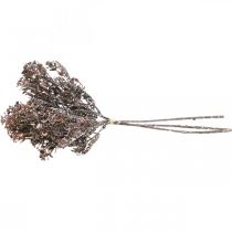 položky Umelé rastliny hnedá jesenná dekorácia zimná dekorácia Drylook 38cm 3 ks