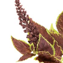 položky Umelý Coleus s červenými listami, umelá rastlina, 20 cm
