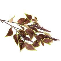 položky Umelý Coleus s červenými listami, umelá rastlina, 20 cm