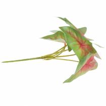 položky Umelá caladium šesťlistá zelená/ružová umelá rastlina ako skutočná!