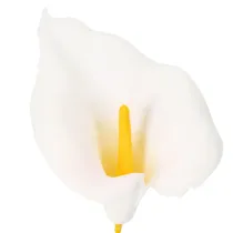 Článok Umelá kala so žltými tyčinkami, ozdobné kvety, 35 cm, 10 kusov