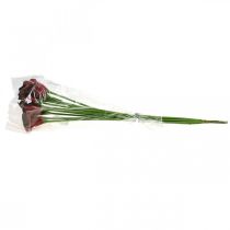 položky Calla red bordeaux umelé kvety v zväzku 57cm 12 ks