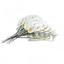 položky Calla medium na drôte 50 ks