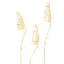 položky Trstinová šiška bielená 25 ks