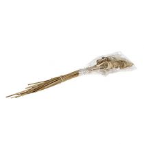 položky Prírodné kužele z bambusu 25 ks