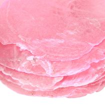 položky Dekorácia capiz lastúra v ružovej bobule 5cm–8cm mix 60 kusov