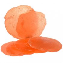 položky Capiz mušle Capiz plátky perleťové plátky pomaranč 7,5–9,5 cm 300 g