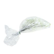 položky Vianočná ruža na drôtiku biela 50 ks