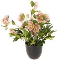položky Umelá rastlina v kvetináči Helleborus, vianočná ruža, na dekoráciu domu, 50 cm