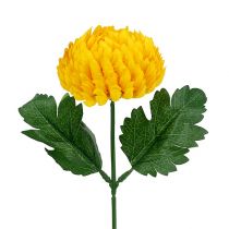 položky Chryzantéma žltá umelá Ø7cm L18cm