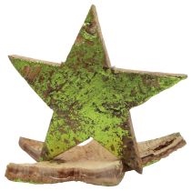 položky Bodková dekorácia vianočné hviezdy kokosovo zelená Ø5cm 50ks