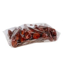 položky Compacta Rosette oranžová 40 ks