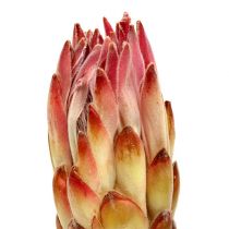 položky Compacta Pink 25 ks