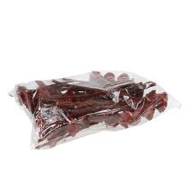 položky Compacta Rozeta Erika 40 ks