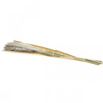 Článok Sušené trávy Pampas tráva prírodný zväzok 80 cm 100 g