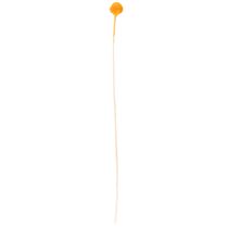 položky Kytica sušených kvetov Craspedia 55cm 20ks