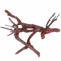 položky Dekorácia konár Currybusch praný červený 500g