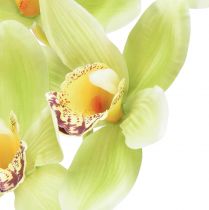 položky Cymbidium orchidea umelá 5 kvetov zelená 65cm