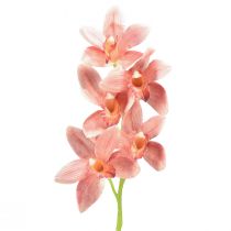 položky Cymbidium orchidea umelá 5 kvetov broskyňa 65cm
