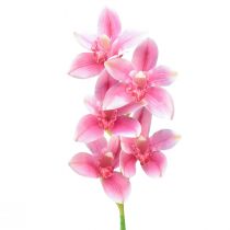 položky Cymbidium orchidea umelá 5 kvetov ružová 65cm
