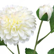 položky Dahlia umelé kvety krémovo zelené 2 kvety 60cm